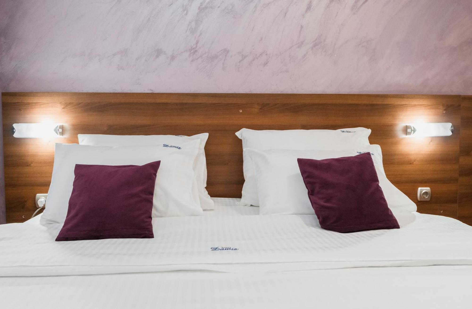 Hotel Damis Pale Ngoại thất bức ảnh